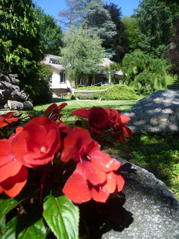 Il Colombe B&B Barzano Ngoại thất bức ảnh
